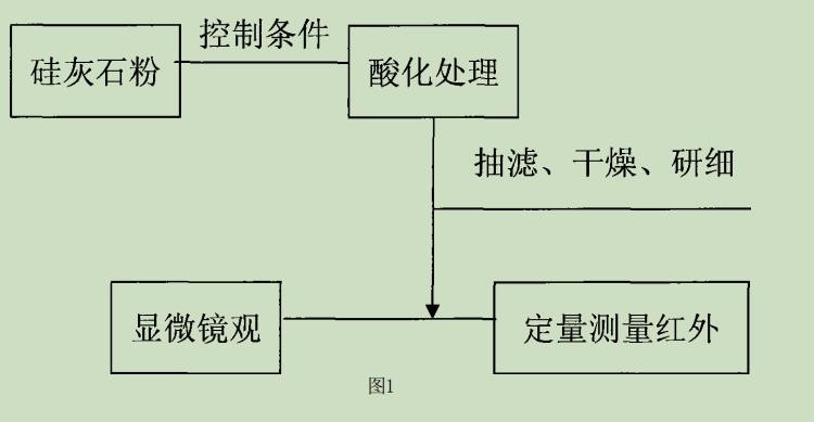 pic1.jpg