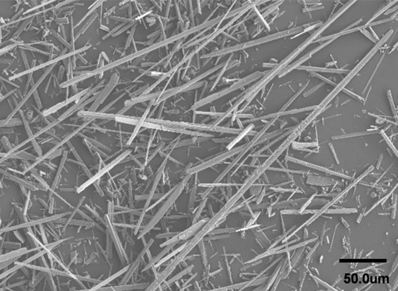 超细硅灰石粉显微镜图.jpg